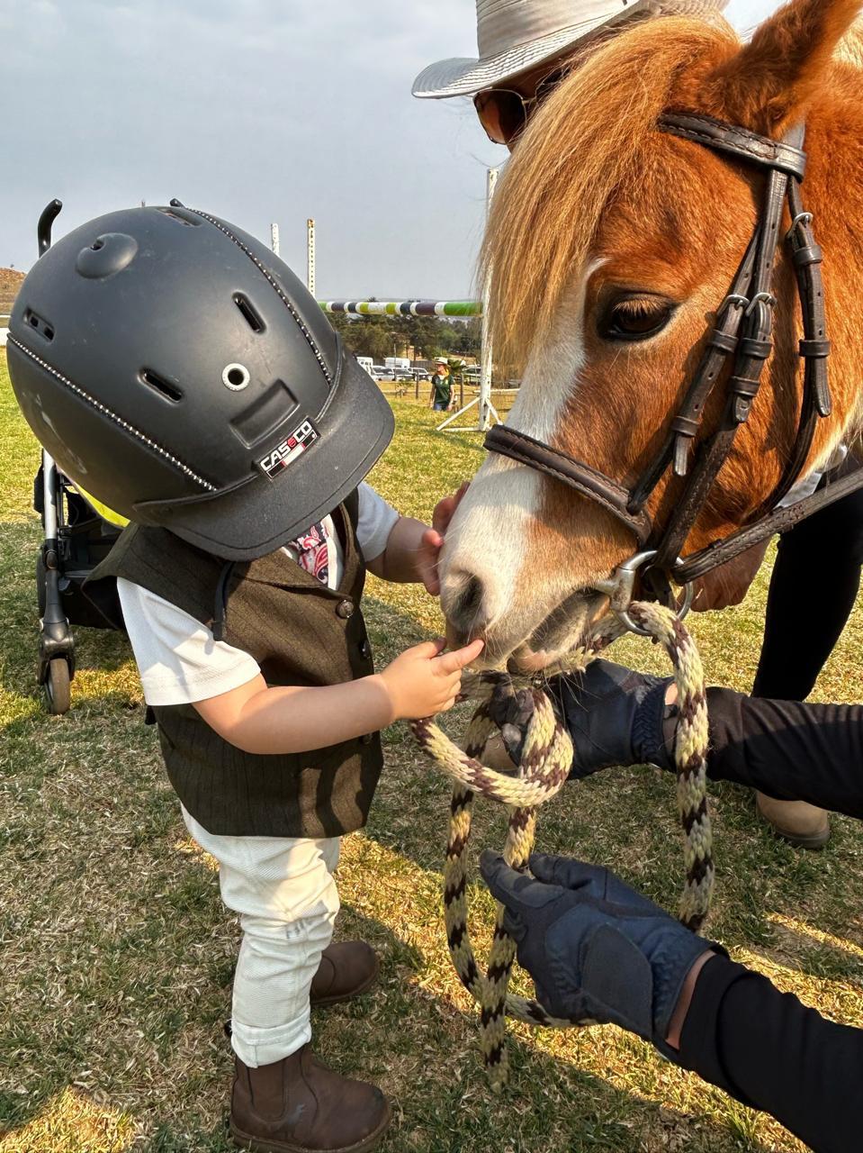 Pony play and lead rein lessons