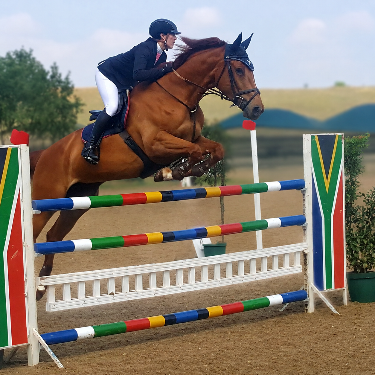 Show days at Maple Ridge