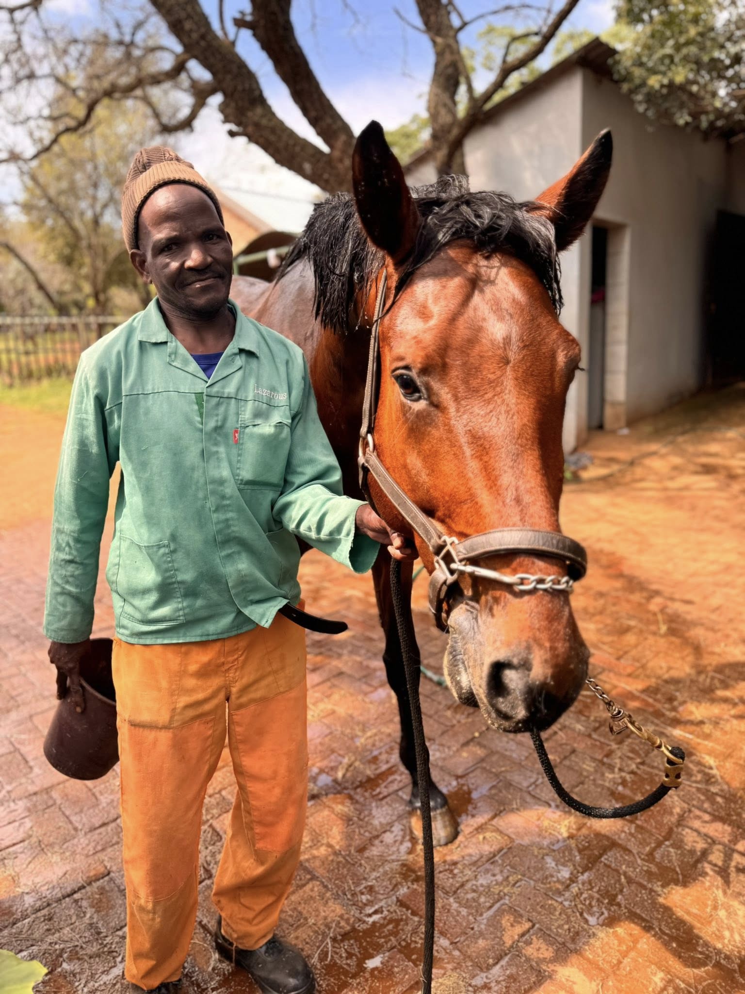 Maple Ridge show preparation and horse care